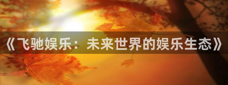 辉达平台注册