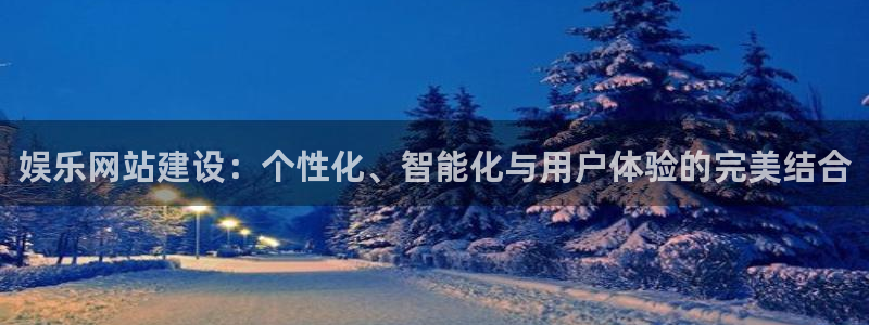 领航国际代理