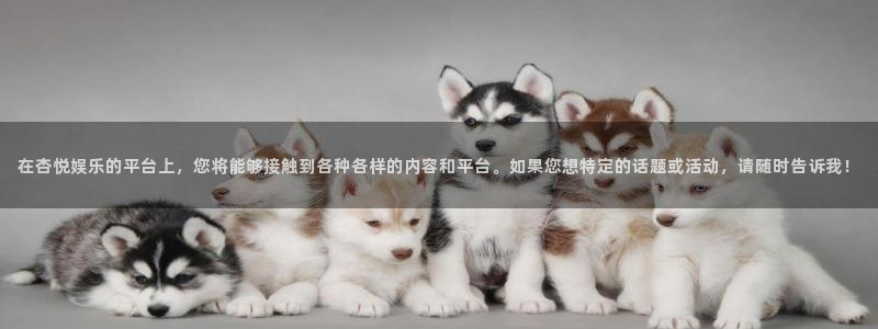领航国际平台：在杏悦娱乐的平台上，您将能够接触到各种各样的内容和平台。如果您想特定的话题或活动，请随时告诉我！