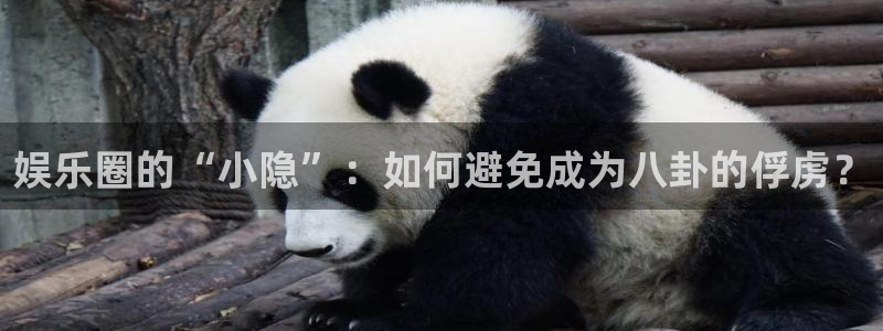 领航国际注册：娱乐圈的“小隐”：如何避免成为八卦的俘虏？